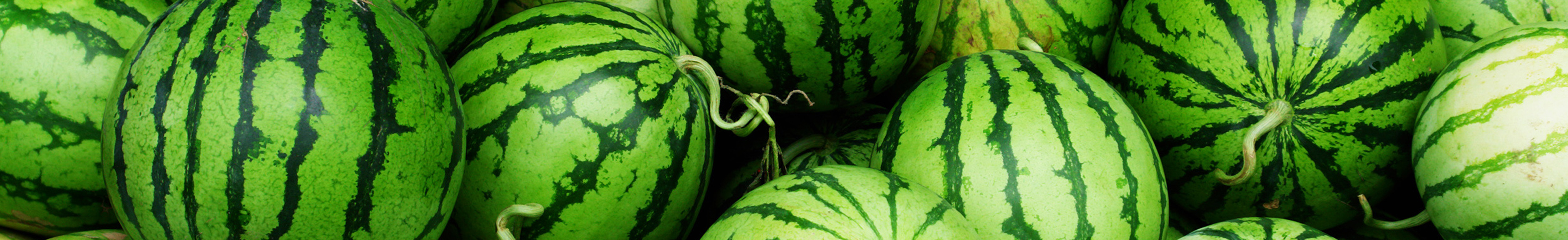 Ich habe eine Wassermelone getragen!