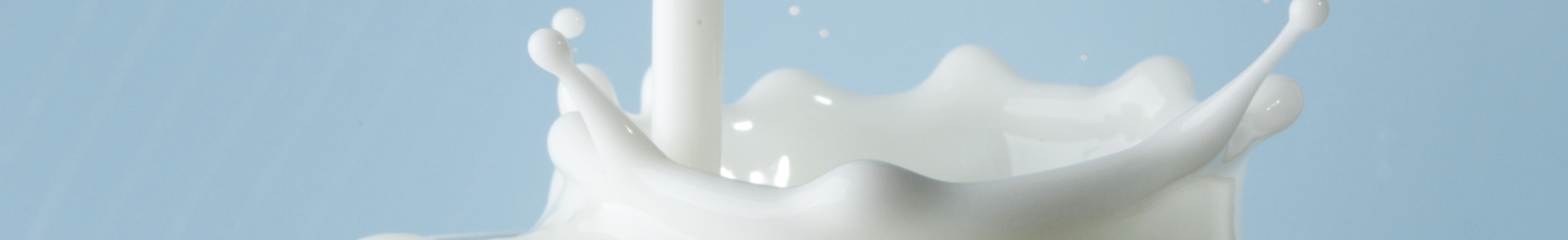 Proteinreiches von der Kuh!